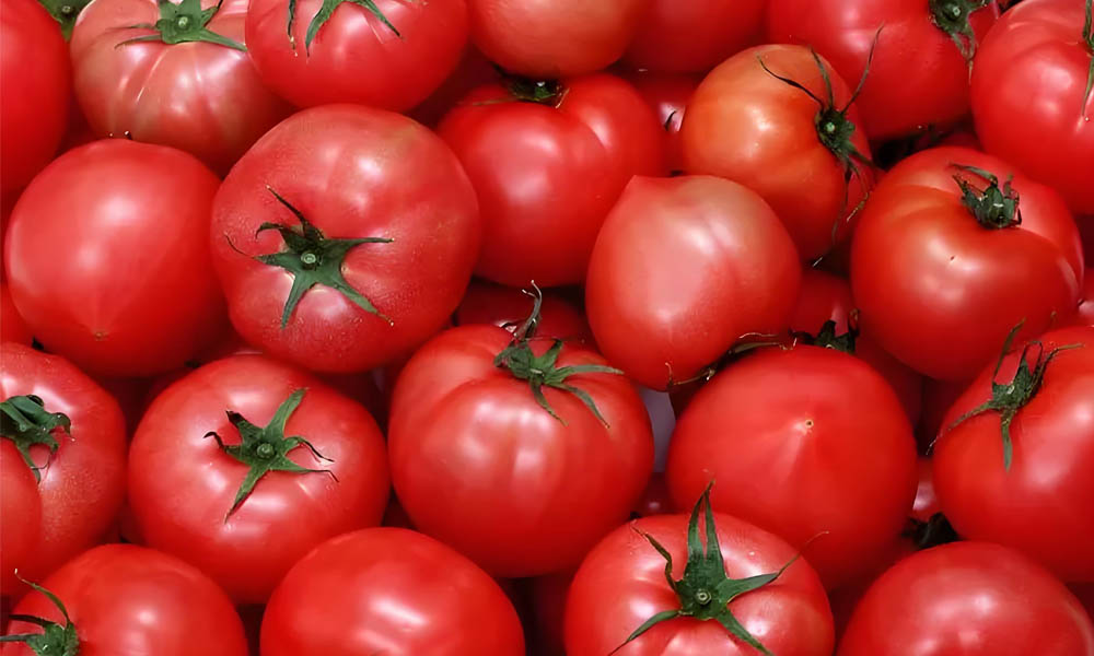 Die Rolle des Temperaturdatenloggers beim Tomatentransport