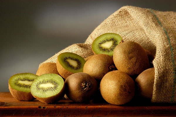 Halten Sie Kiwifruit frisch wichtige Ausrüstung - Kaltkettentemperaturrekorder